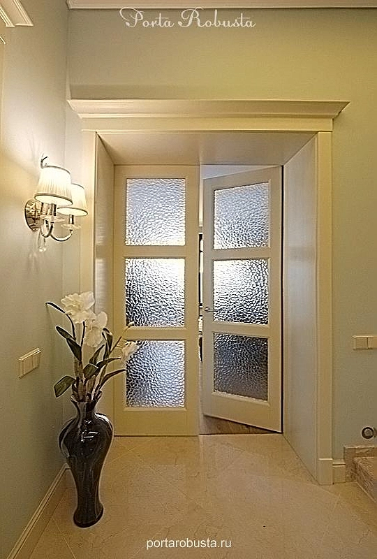 Двухстворчатая дверь со стеклом