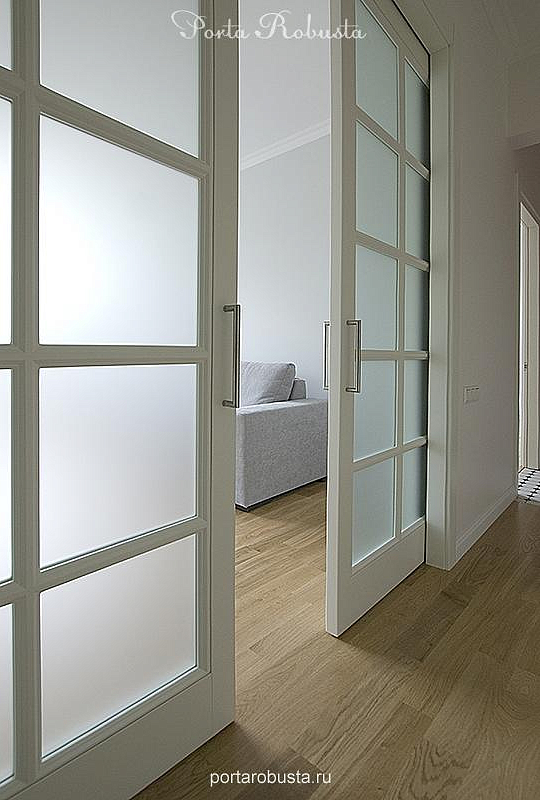 Двухстворчатая раздвижная дверь